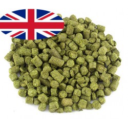 Chmiel EAST KENT GOLDINGS 25g