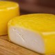 Kultury bakterii do sera gouda