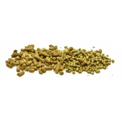 Amerykanski Chmiel CITRA granulat 25g uniwersalny HBC394